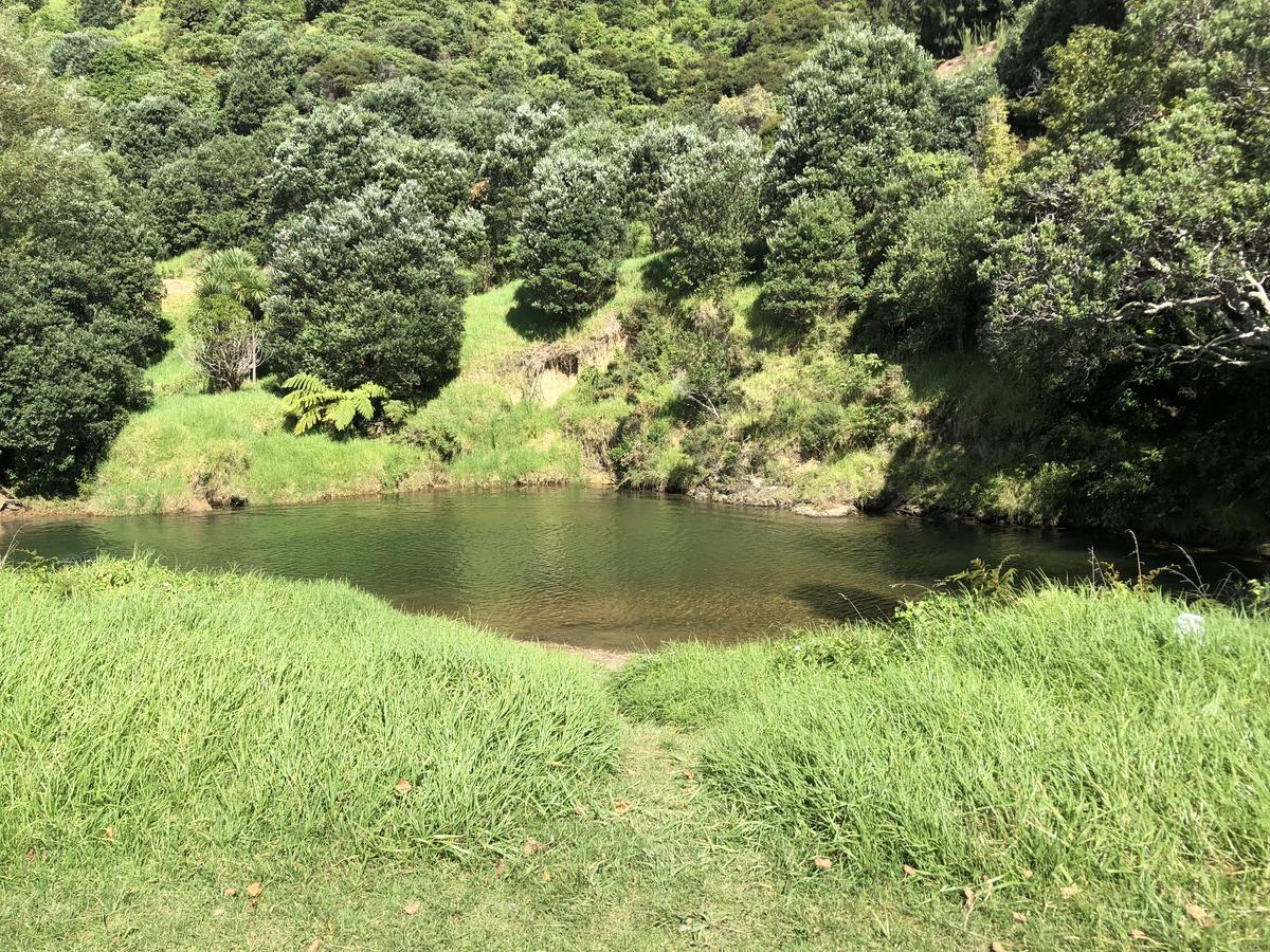 Te Mata Bay Seaviews Bed & Breakfast Tapu ภายนอก รูปภาพ