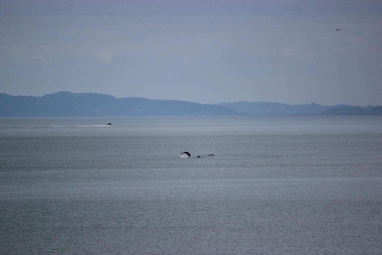 Te Mata Bay Seaviews Bed & Breakfast Tapu ภายนอก รูปภาพ